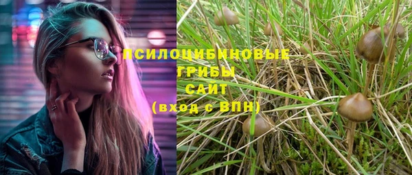 мдпв Россошь