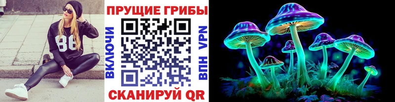 hydra tor  Свирск  Псилоцибиновые грибы мицелий 